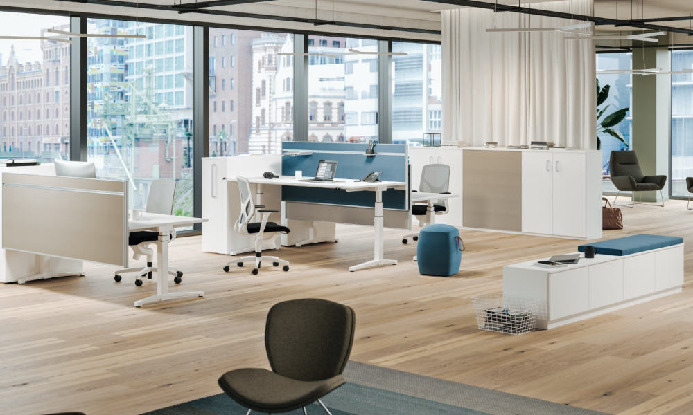 Ergonomic Consultation